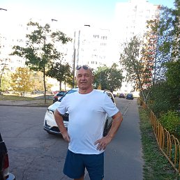 , 65, 