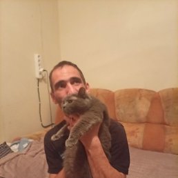 ���������, ����������, 38 ���