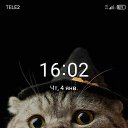 ���� �����, ������-��-����, 48 ��� - ��������� 24 ������ 2024 � ������ ���� ����������