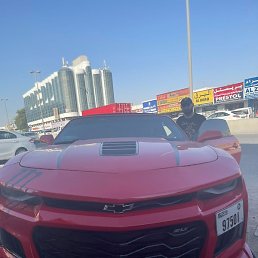 ����, �����-���������, 36 ���