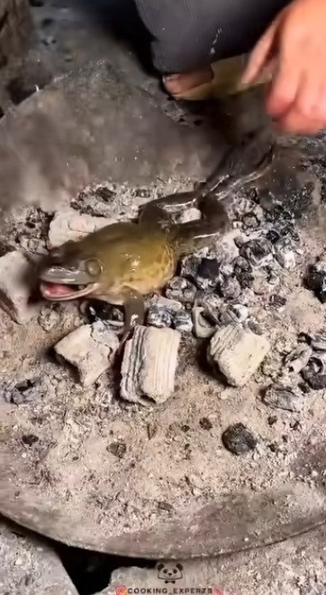 pooa o  oeo e e e