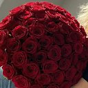 ���� Olushka, ���������� - ��������� 14 ������� 2026 � ������ ���� ����������