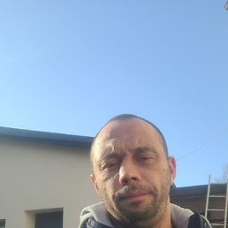 �����, ��������, 36 ���