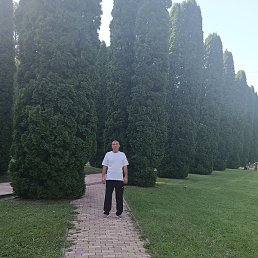 ����, �����-���������, 47 ���