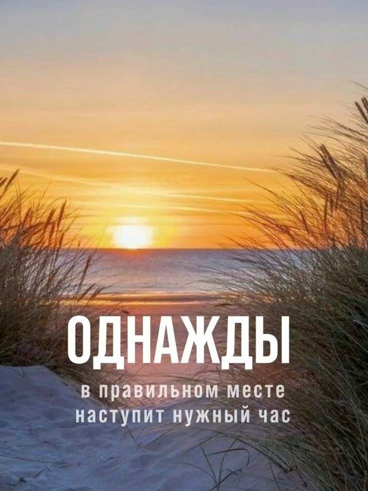 .�������. - 27 ��� 2026 � 16:28