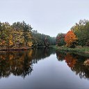 ���� Vidas, ��������, 64 ���� - ��������� 13 ������� 2025 � ������ ������ ��������