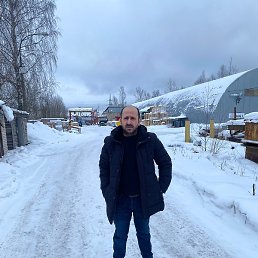 �����, ������, 40 ���