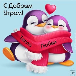 Zeinep, �����������, 48 ���