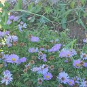 ���� Svetlanna, ������������ - ��������� 14 �������� 2024 � ������ ���� ����������