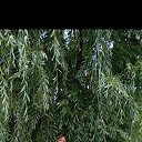 ���� ����, �������� - ��������� 28 ������� 2025 � ������ ���� ����������