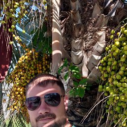 ���� ����, ������, 40 ��� - ��������� 13 ������� 2026