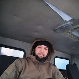 ���� ��, ������, 41 ��� - ��������� 16 ������� 2024