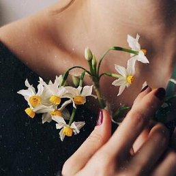 ������, ������, 37 ���