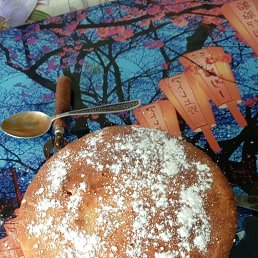 ���� ������, ��������, 64 ���� - ��������� 1 ���� 2024