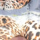 ���� ������, ������, 43 ���� - ��������� 18 ������� 2026 � ������ ���� ����������