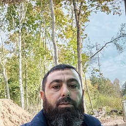 Maqamed, 42, -