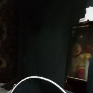 ����, 42 ����, ���������