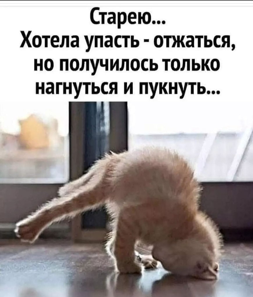 ��� ���� - 14 ������ 2026 � 18:31