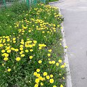 ���� �������, �������� - ��������� 14 ���� 2026 � ������ ������ ��������