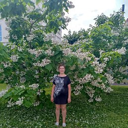 ������, ������, 38 ���