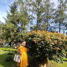 �������, �����, 65 ���