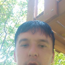 , 30, 