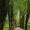 ���� �����, �������, 62 ���� - ��������� 24 ������ 2025