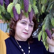 �������, 61 ���, �������