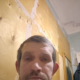 �����, 40 ���, ������