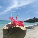 ���� �������, �����, 52 ���� - ��������� 15 ������� 2025 � ������ ���� ����������