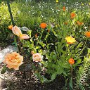 ���� Olga., �������, 63 ���� - ��������� 29 ������� 2025 � ������ ������ ��������