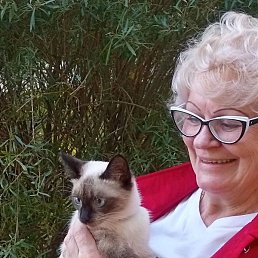 ��������, ����, 50 ���