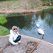 �����, 53 ����, �����