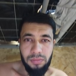 , 29, 