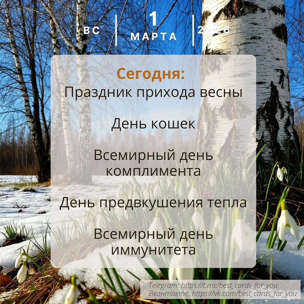 ����������� � ���������, �������� �� ������ ����. - 1 ����� 2026 � 00:27