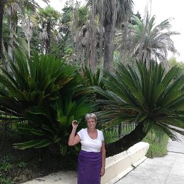 �����, ������, 62 ����