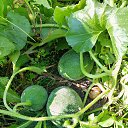 ���� �����, �������, 54 ���� - ��������� 28 ���� 2024 � ������ ������ ��������