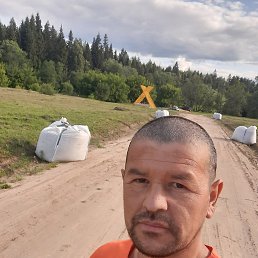 , 39, 