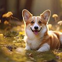 ���� Elena, ���������, 47 ��� - ��������� 28 ������� 2025