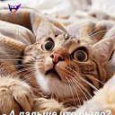 ���� ���������, ������������ - ��������� 18 ����� 2026 � ������ ���� ����������