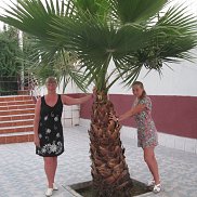 �������, 48 ���, �����