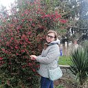 ���� ���������, ����, 24 ���� - ��������� 22 ������ 2025