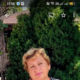 , 63, -