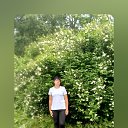 ���� ������� �����, ������, 40 ��� - ��������� 17 ���� 2025