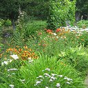 ���� �����, �������, 54 ���� - ��������� 4 ���� 2025 � ������ �����