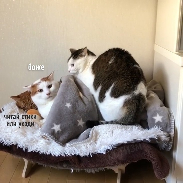 �� ��� ������) - 3