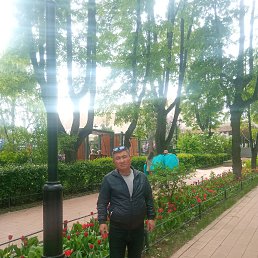 , 51, 