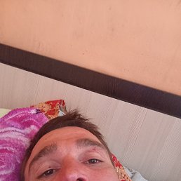 ����, 36 ���, ����