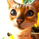 ���� Uegenia, ʸ���, 65 ��� - ��������� 6 ������� 2025 � ������ ������ ��������