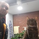 ���� Falton, ������, 29 ��� - ��������� 16 ������ 2024 � ������ ���� ����������